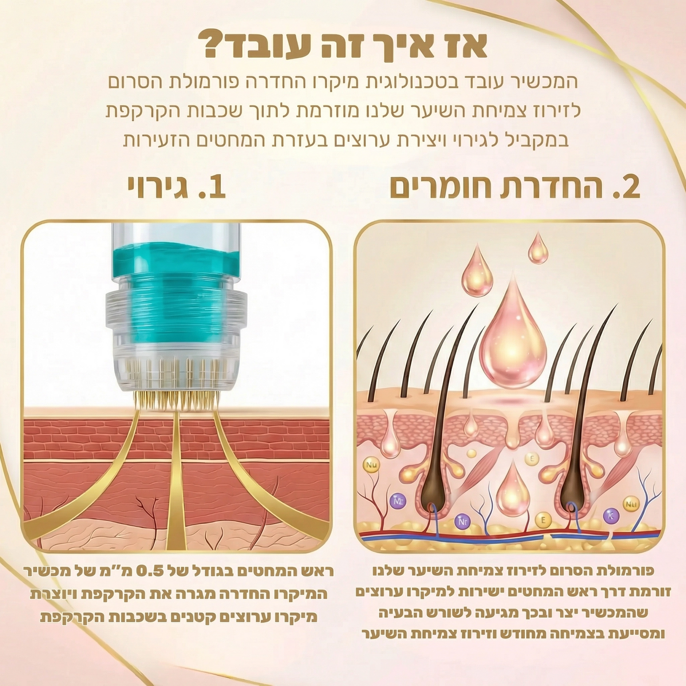 Revivex 2.0 - ערכה לטיפול ושיקום נשירת שיער והתקרחות