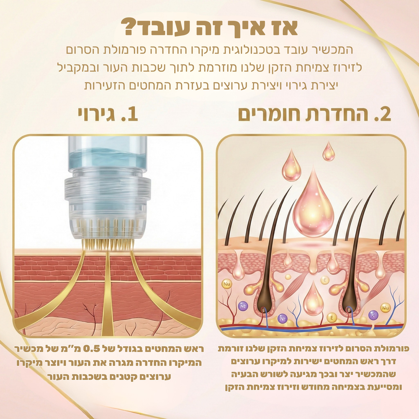 Revivex Beard - ערכה לטיפול וצמיחת זקן