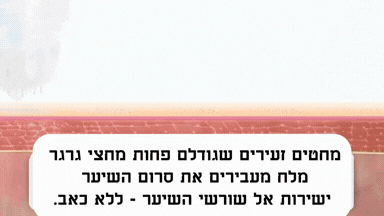 עוצר נשירה בלי הכימיקלים ובלי 'נשירת הסתגלות' מבהילה בפעם אחת בשבוע